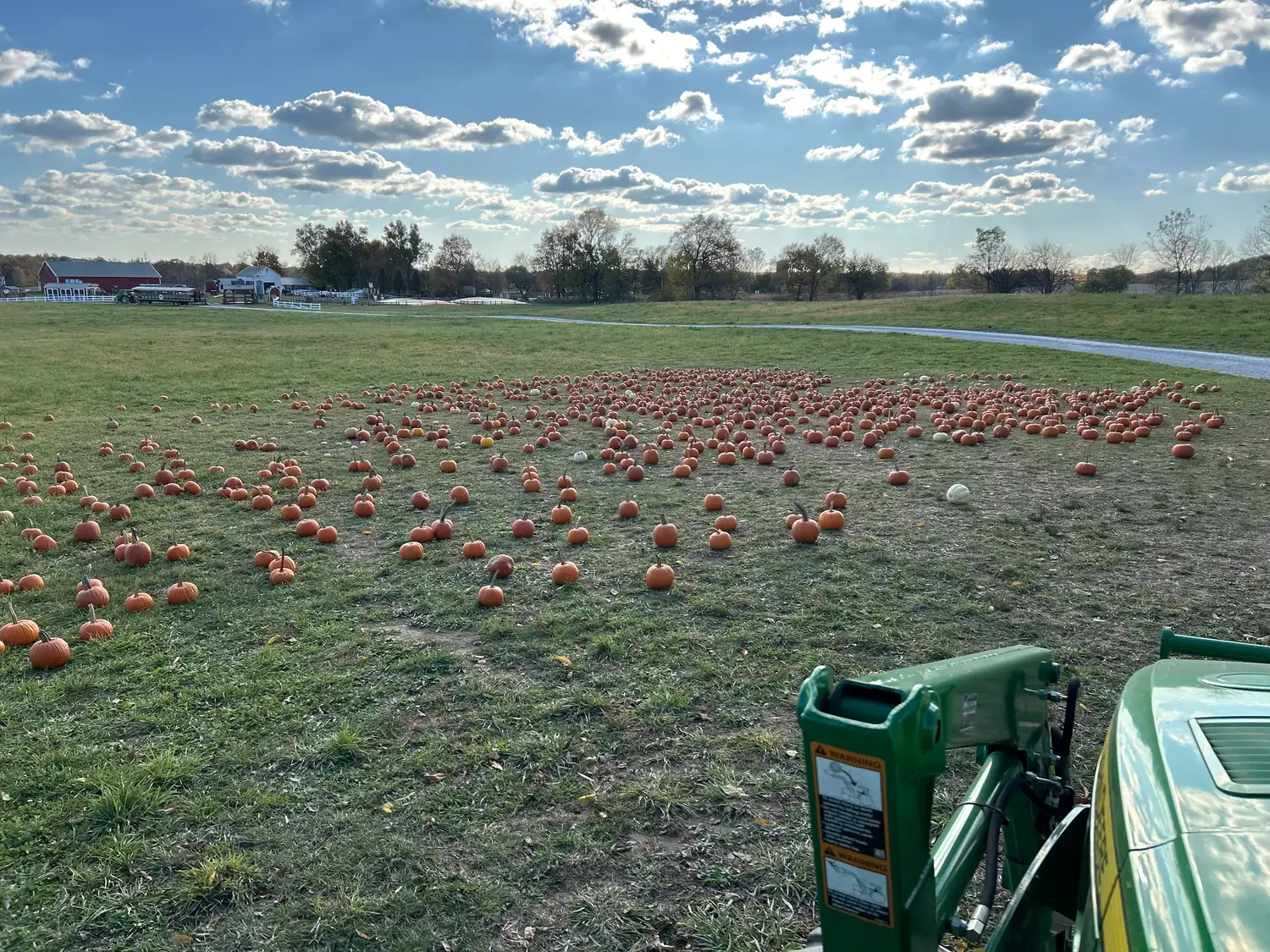 Pumpkins for sale at Amazing Acres