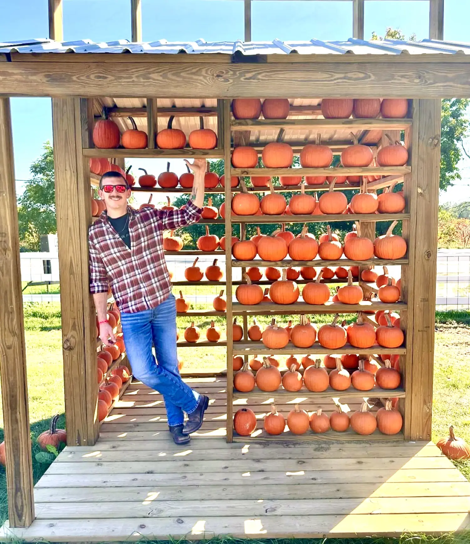 Pumpkin Houses